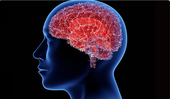 Imagem de um crânio em raio X mostrando o cerebro humano